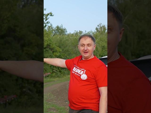 Опрыскивание чеснока #опрыскиватель #сельхозтехника #medved #чеснок