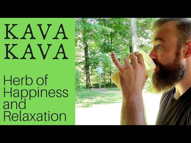 KAVA KAVA: The Herb of Happiness and Relaxation (Complete Review)