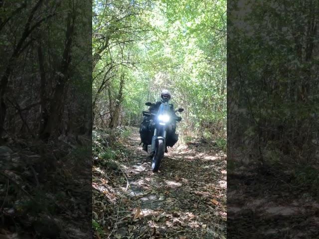 This can't be the right way...  Lost in an Italian forest E:113 Part 1