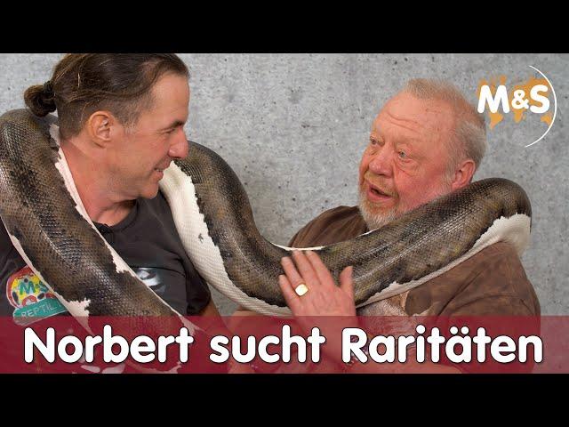 Zoo Zajac sucht die teuersten & seltensten Reptilien und wird GEBISSEN! | Reptil TV