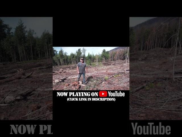 New Episode Now Playing! Brent and Craig Let Loose on The REAL Reasons Wildfires Are Burning in BC