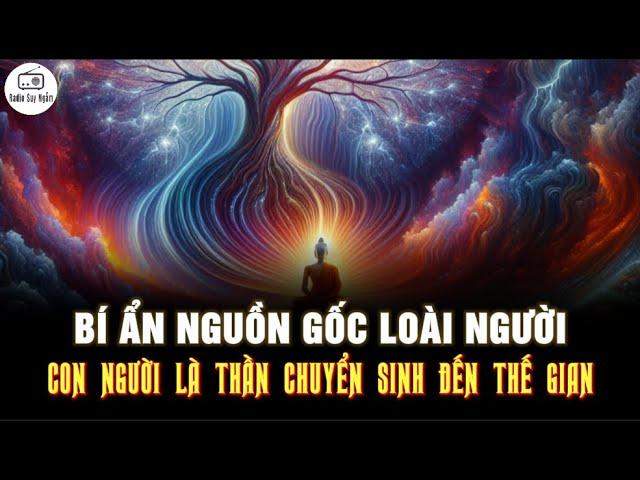 Con người đều là THẦN CHUYỂN SINH ĐẾN THẾ GIAN? - Bí Ẩn Nguồn Gốc Loài Người