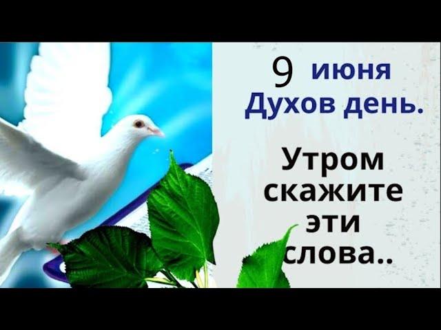 9 июня Духов день. Не метите, чтобы Благодать из дома не вымести
