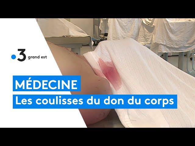 Médecine : les coulisses du don du corps à la science