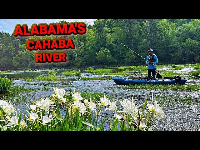 Fishing Alabama's Scenic River (Loaded!!)