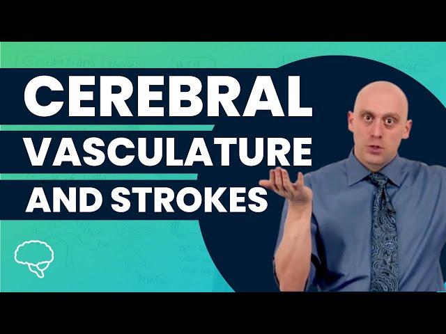 Cerebral Vasculature and Strokes (Sample Lesson) | Preclinical | Neuroscience | @OnlineMedEdCom