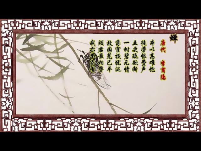 蝉  李商隐【狼哥吼古诗】 Wolf brother screaming ancient poems