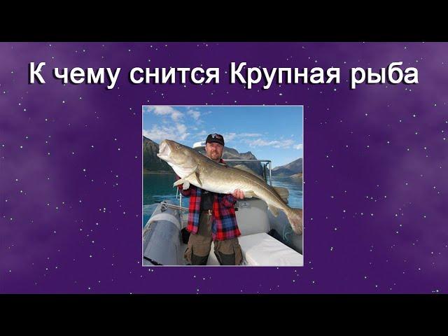 К чему снится Крупная рыба – толкование сна по Соннику