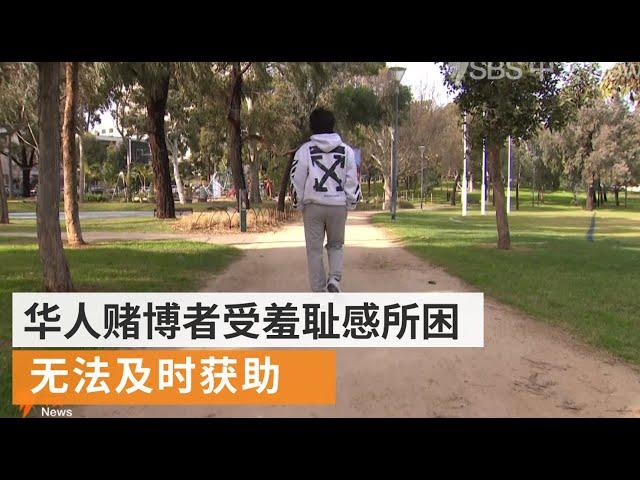 华人社区赌博成瘾者不善求助  澳洲政府出台更多志愿互助项目 | SBS中文