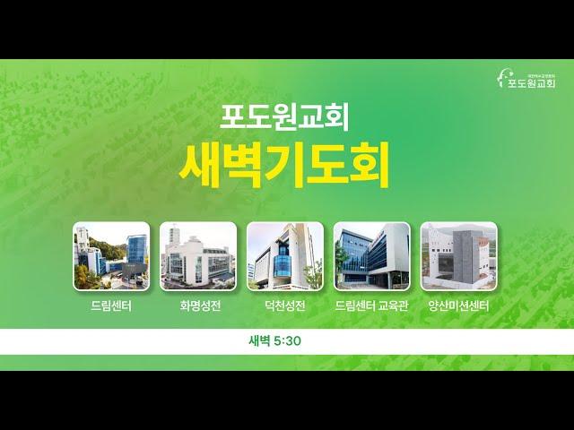 2025.06.13 포도원교회 새벽기도회(설교영상)