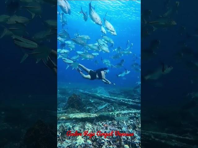 Liburan Snorkling Hari ini 15 april #Raja Ampat #Vanessa Travel