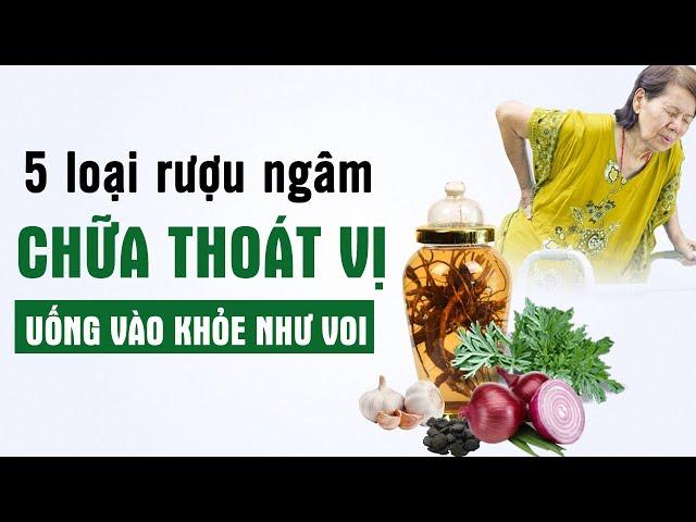 Bật Mí Bài thuốc Dân Gian Ngâm Rượu Chữa Thoát Vị Đĩa Đệm dân tộc Mèo. Hiệu Quả ngày sau 10 Phút Xoa