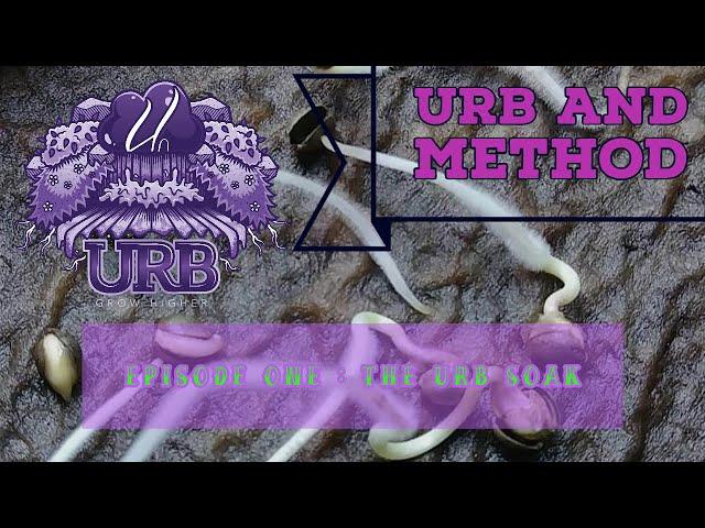 How To Germinate Seeds More Efficiently ||| Using Triple Certified Organic URB Natural