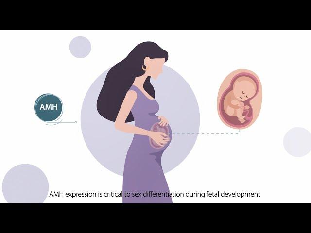 What your AMH levels can tell you？