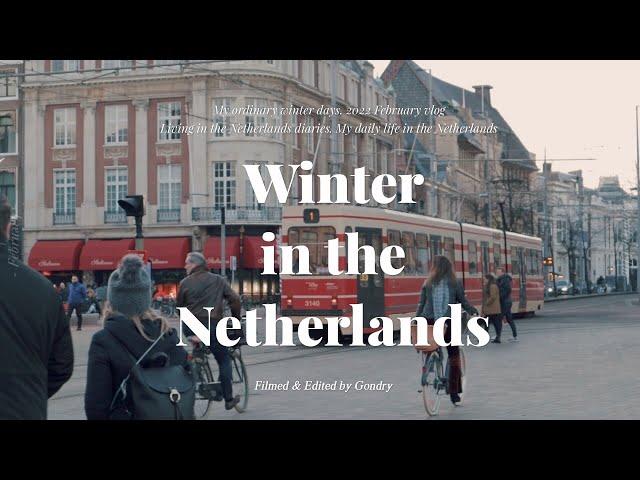  Netherlands vlog / Short trip to The Hague(Den Haag), cafe, museum, shopping