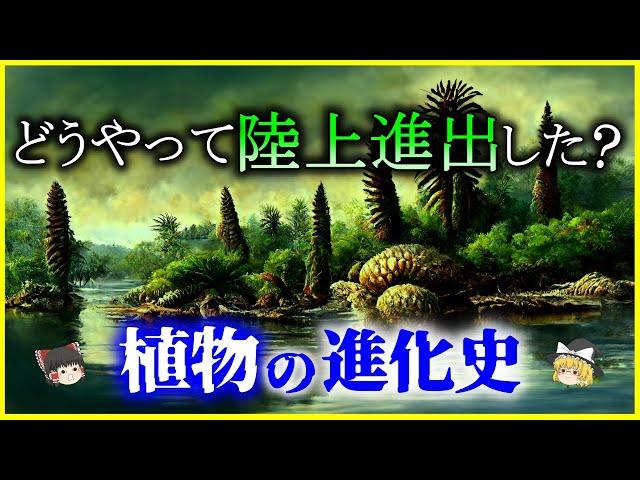 【ゆっくり解説】植物の誕生と上陸作戦とは？「植物の進化史」を解説/最初の陸上植物の謎とは何か？