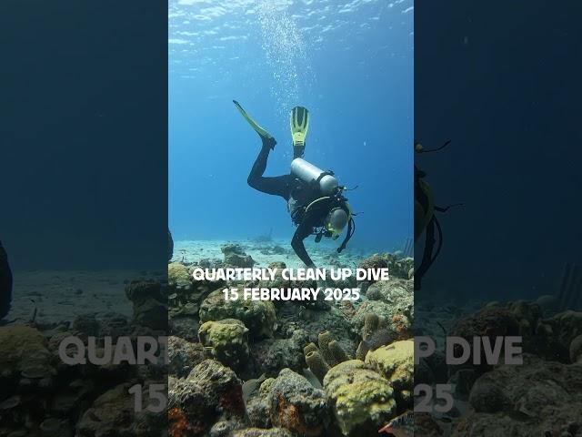 If you love the ocean, join us for the Quarterly Clean-Up Dive on February 15!
