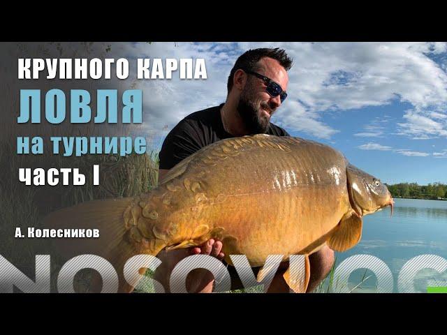 Ловля крупного карпа, Колесников А. - ЧАСТЬ I