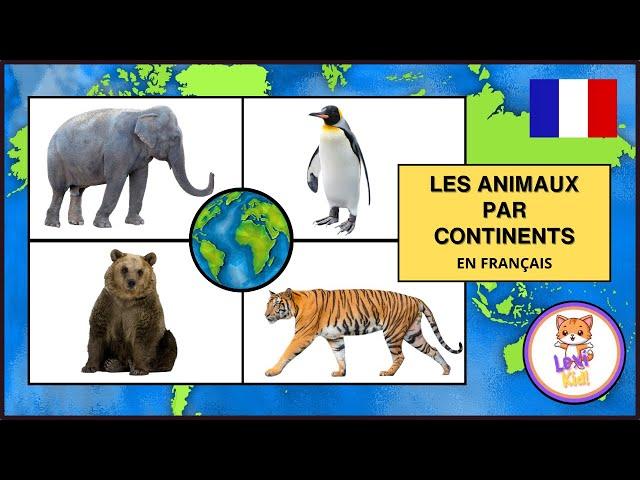 LES ANIMAUX PAR CONTINENTS | Les noms et bruits pour les enfants