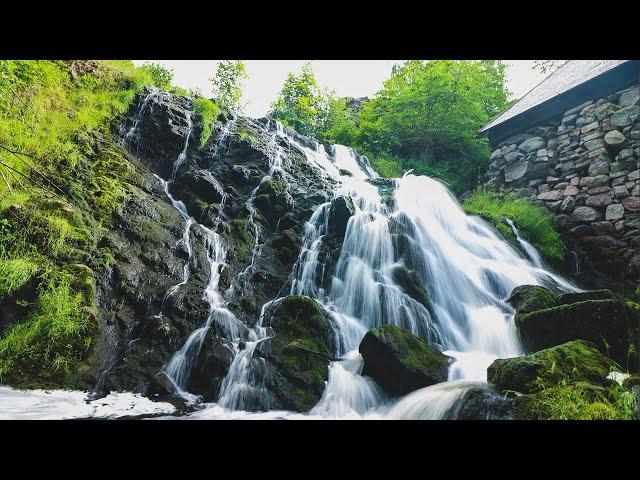 Waterfall HD Stock Video | Free stock footage  - No Copyright | All Video Free