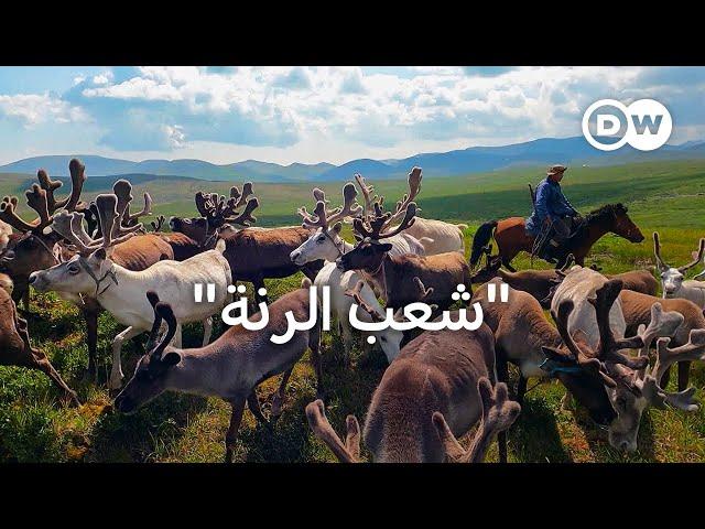 وثائقي | قبيلة الدوخا البدائية - آخر رعاة الرنة الرحل في منغوليا | وثائقية دي دبليو