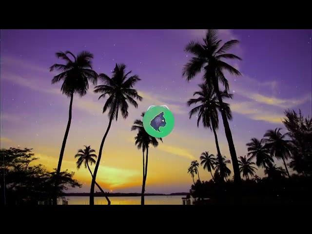 DBM - Wanna Go Back (Tropical house 2024)