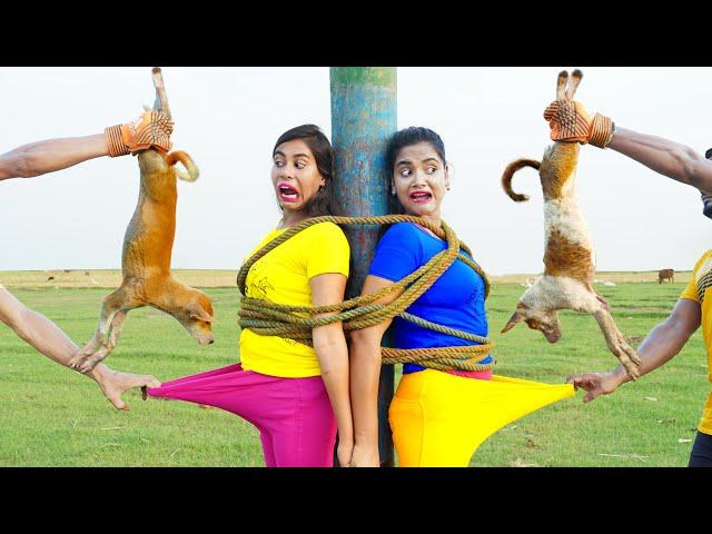 New Entertainment Top Funny Video Best Comedy in 2024 Episode 271 By Busy Fun Ltd