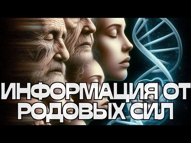 ИНФОРМАЦИЯ ОТ РОДОВЫХ СИЛ️
