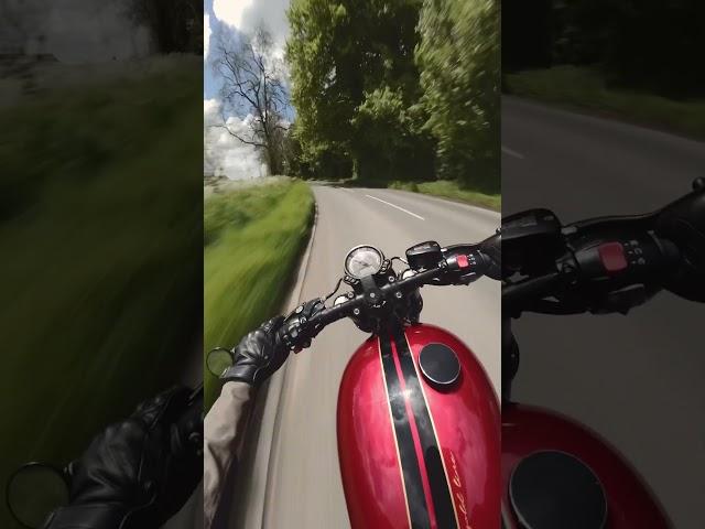 … #triumphbobber