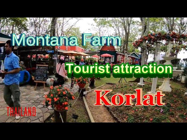 Korlat Places to go. Thailand. Montana Farm . Day out and feed the Alpacas