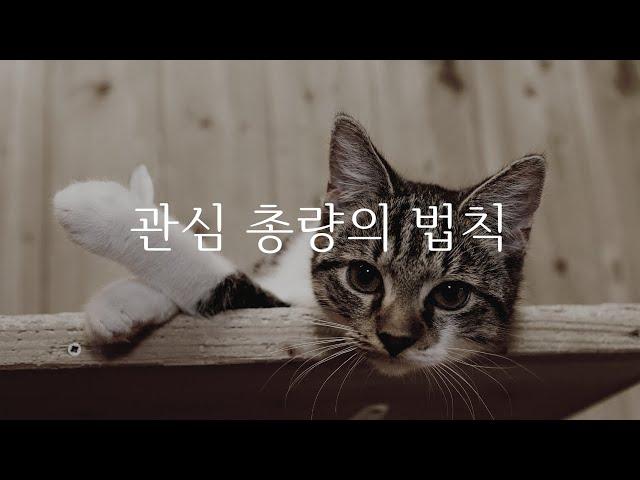 오디오북 ASMR / 책 읽어주는 여자 / 하루의 시작 / 잠잘때 / 낭독과 수다 #21 / 오디오북 / 마음이 편해지는 / 북튜버