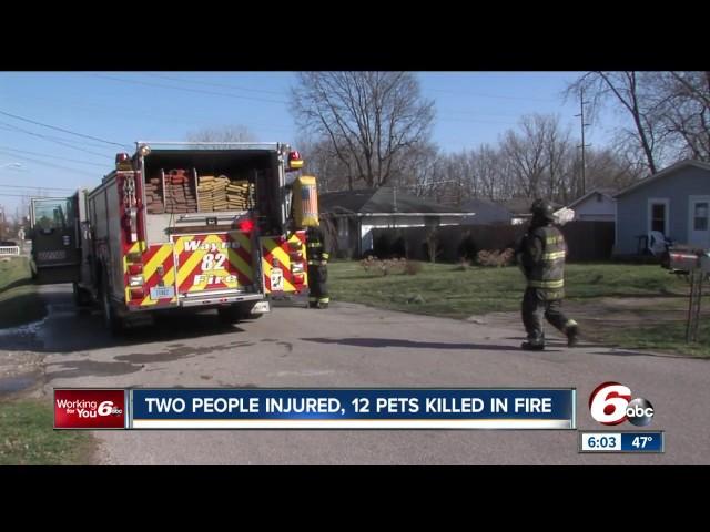 Fire started by space heater kills 12 animals on Indy's west side