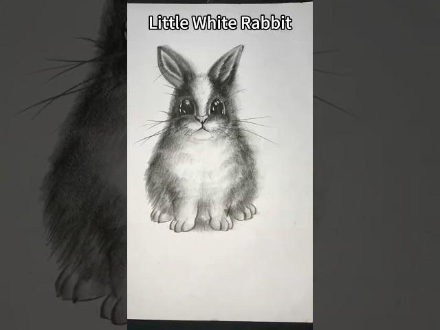 Draw a little white rabbit,Artistic Creation