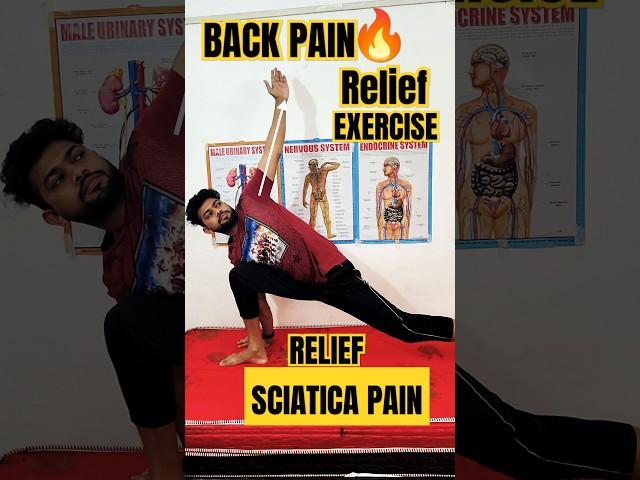 #𝘉𝘈𝘊𝘒𝘗𝘈𝘐𝘕 𝘙𝘌𝘓𝘐𝘌𝘍 𝘌𝘟𝘌𝘙𝘊𝘐𝘚𝘌 With SCIATICA PAIN#𝘴𝘩𝘰𝘳𝘵𝘴𝘧𝘦𝘦𝘥 #𝘷𝘪𝘳𝘢𝘭𝘳𝘦𝘦𝘭𝘴#viralshort