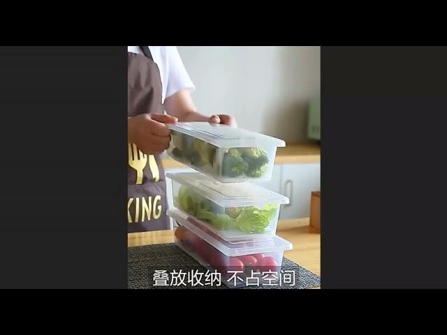 Refrigerator Storage Box Frozen Fish Meat Drain Preservation Box