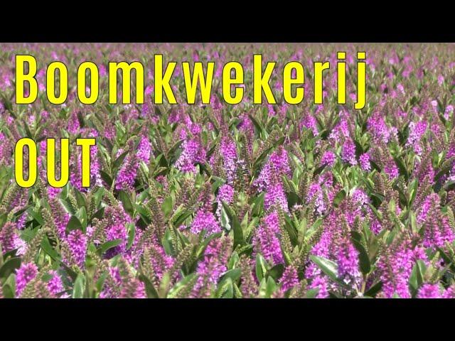 Boomkwekerij OUT