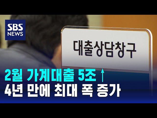 2월 가계대출 5조↑…4년 만에 최대 폭 증가 / SBS