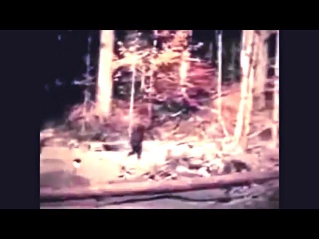 2017 Complete Patterson Bigfoot Film in HD Enhanced w/ Vegas Pro 14