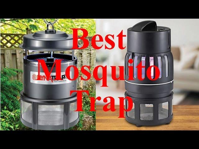 Best Mosquito Trap, Indoor & Outdoor - SUPER Effective!