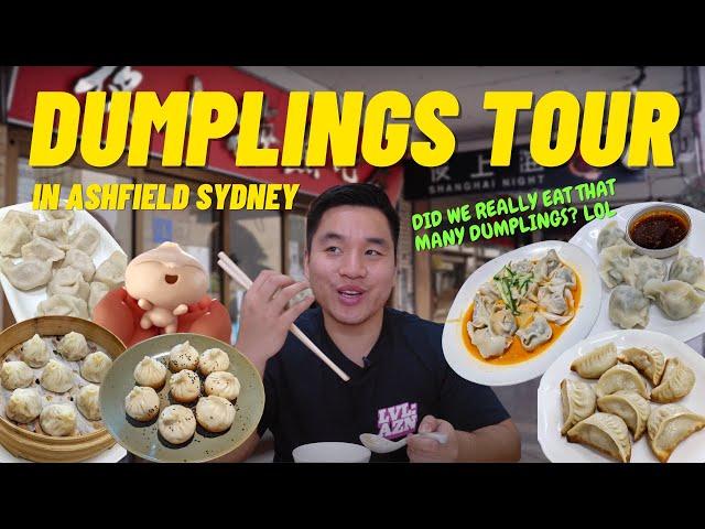 BEST DUMPLINGS IN SYDNEY? | Ashfield Dumpling Tour New Shanghai Night strictly mukbang food review