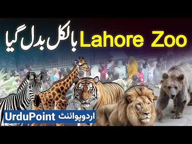 Lahore Zoo Mein Billions Rupees Ki Renovation Kar Ke New Animals And Birds Bhi Kharid Liye Gaye