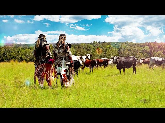 Inkabi Zezwe ft Sjava & Big Zulu - Intro (Inkabi Zezwe) [Official Visualiser]