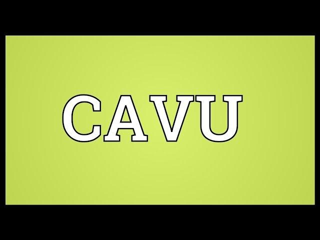 CAVU Meaning