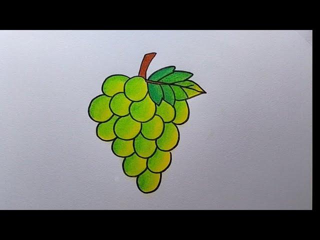 How to draw grapes step by step| Easy grapes drawing| Grapes fruit drawing easy