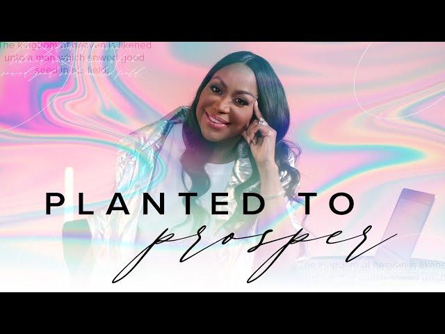 Planted to Prosper [Thrive] Dr. Cindy Trimm