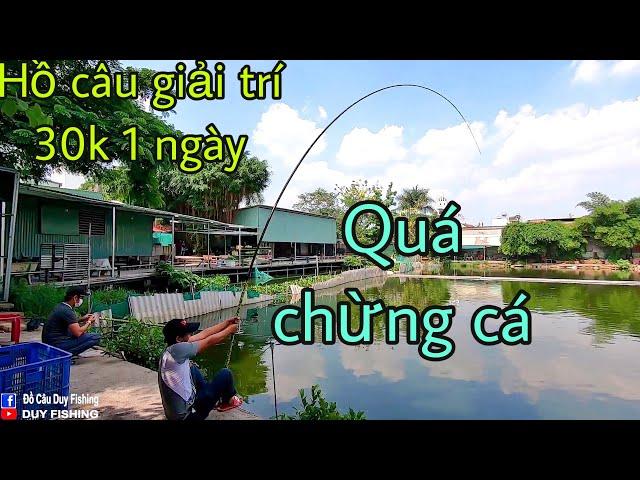 Hướng dẫn đường đến hồ câu cá giải trí 30k 1 ngày ở Sài Gòn  Toàn cá khủng | DUY FISHING