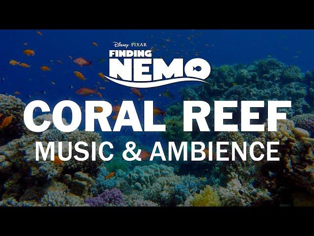 Finding Nemo | Disney Music & Ambience - Coral Reef Underwater Sounds for Sleep, Study, Relaxation