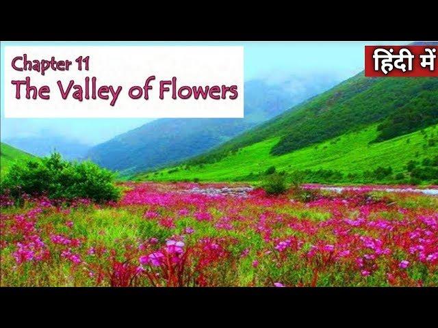 VALLEY OF FLOWERS - Class 4 EVS Chapter 11 हिंदी में  | NCERT class 4 EVS | CBSE Class 4 EVS