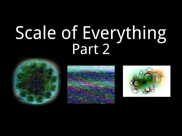 Scale of Everything Part 2: Smaller than 0 m