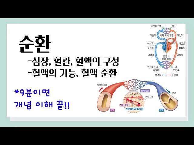 [중2 과학] 순환 l 심장, 혈관, 혈액의 구성 l 혈액의 기능, 혈액 순환